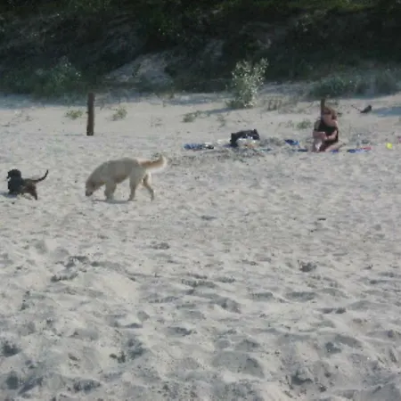 Ferienbungalow Gotze Penzance